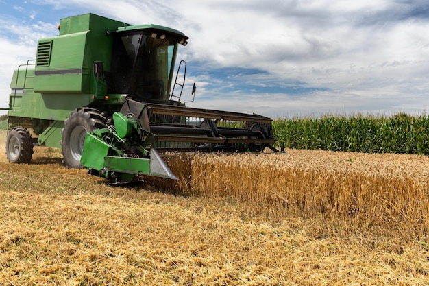 Tractor en el campo agrícola contra el cielo