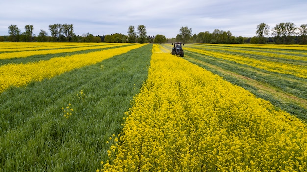Tractor en el campo, agricultura en primavera