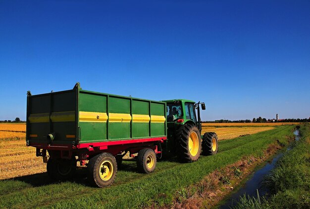 Foto tractor en el campo de arroz contra el cielo azul