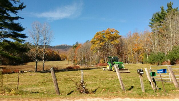 Foto tractor en el campo contra el cielo