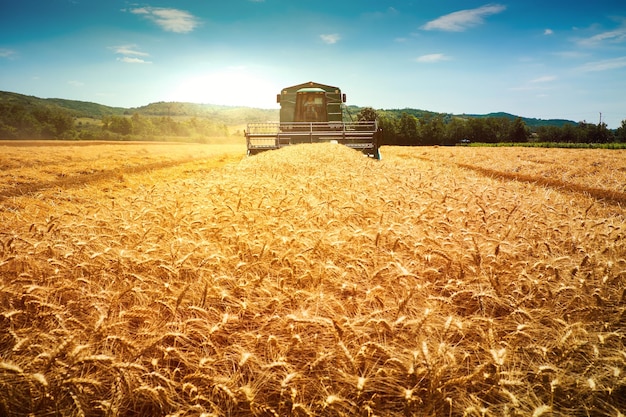 Tractor en un campo de hierba contra el cielo durante un día soleado
