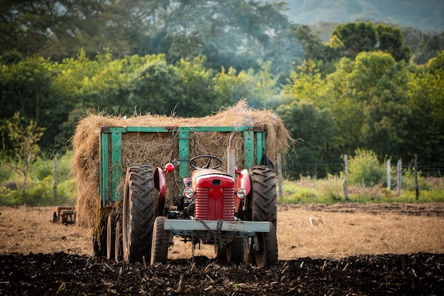 tractor cargado en medio de una zona agrícola