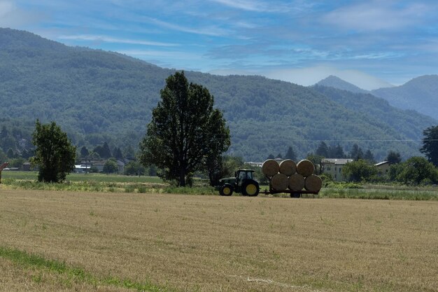 Foto tractor colhendo feno no verão