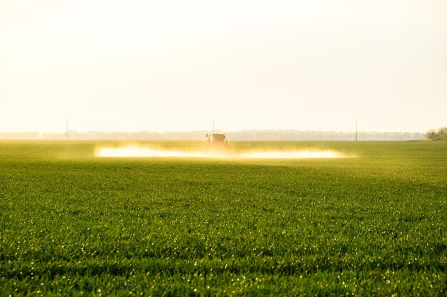 Foto tractor com a ajuda de um pulverizador pulveriza fertilizantes líquidos em trigo jovem no campo