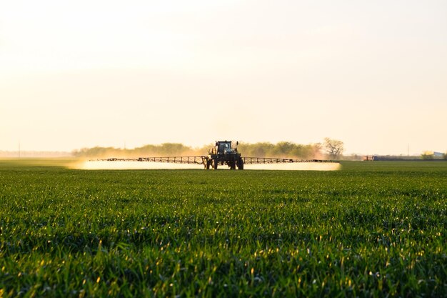 Foto tractor com a ajuda de um pulverizador pulveriza fertilizantes líquidos em trigo jovem no campo