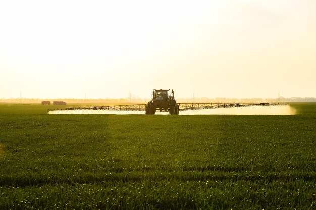 Foto tractor com a ajuda de um pulverizador pulveriza fertilizantes líquidos em trigo jovem no campo