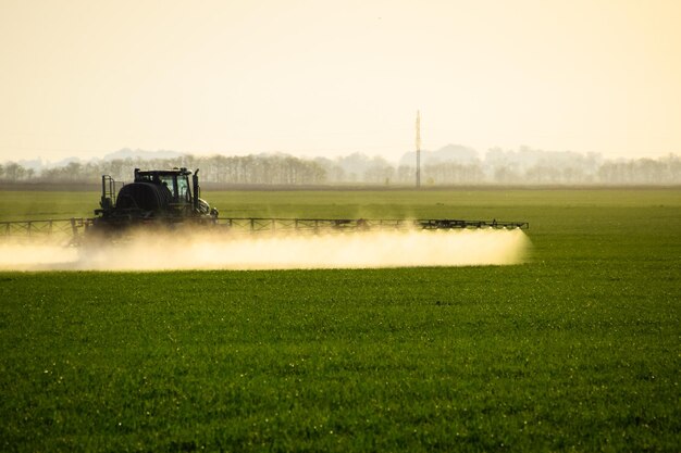 Foto tractor com a ajuda de um pulverizador pulveriza fertilizantes líquidos em trigo jovem no campo