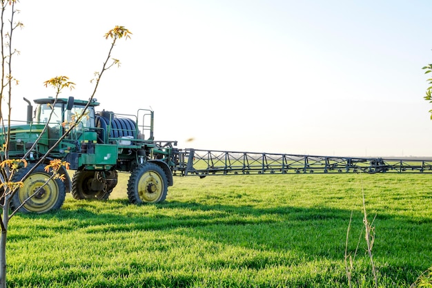Tractor en el fondo del atardecer Tractor con ruedas altas está haciendo fertilizante en trigo joven El uso de productos químicos de pulverización finamente dispersos