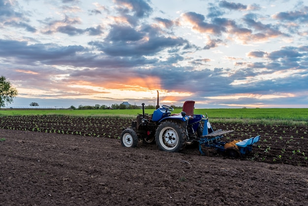 Tractor en medio de un campo al atardecer paisaje rural