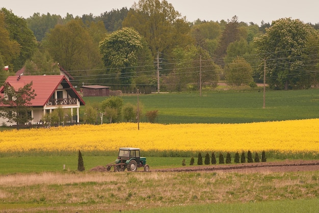 Tractor rociando pesticidas en el campo con pulverizador en campos agrícolas de primavera en el concepto de campo agrícola rural de primavera