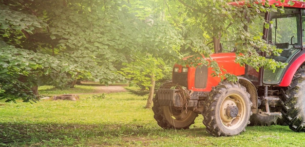 Tractor rojo en el campo. Máquina técnica agrícola.