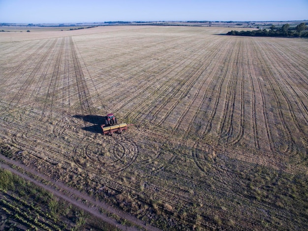 Tractor y sembradora siembra directa en la pampa Argentina