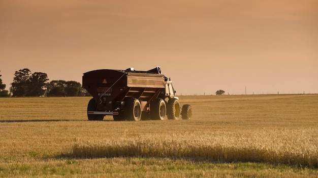 Tractor y tolva trabajando en la cosecha en el campo argentino provincia de Buenos Aires Argentina