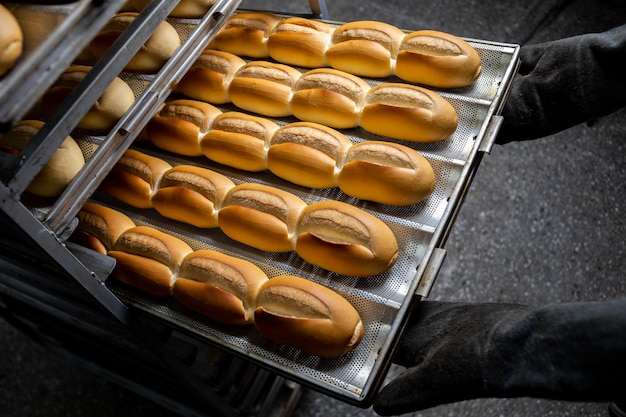 Tradicional pão brasileiro, conhecido como pão francês. produção industrial de pão francês