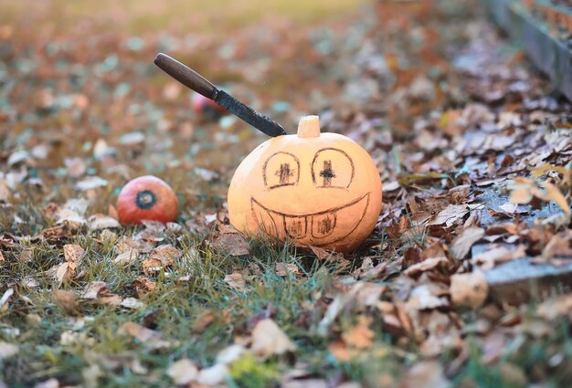 Tradiciones de otoño y preparativos para la fiesta de Halloween. Una casa en la naturaleza, una lámpara hecha de calabazas se corta en la mesa.