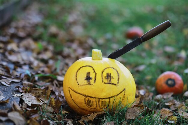 Tradiciones de otoño y preparativos para la fiesta de Halloween. Una casa en la naturaleza, una lámpara hecha de calabazas se corta en la mesa.