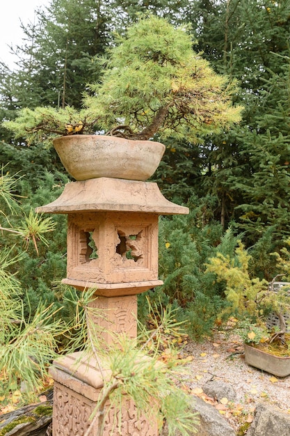 Traditionelle asiatische Steinlaterne auf dem Hintergrund des grünen Gartens