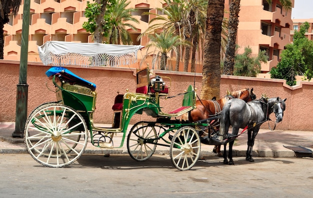 traditionelle Beförderung Marrakeschs