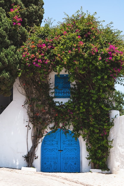 Traditionelle blaue Türen und Fenster auf weißen Häusern auf den Straßen von Sidi Bou Said Tunesien