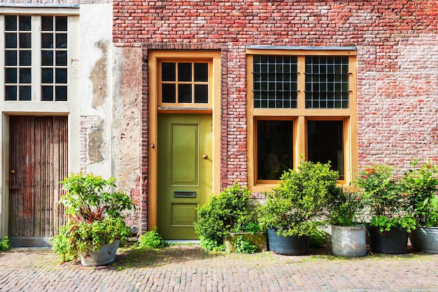 Traditionelle niederländische Architektur in Leiden, Niederlande. Grünpflanzen in der Nähe des Backsteinhauses