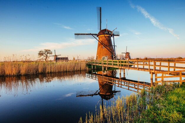 Foto traditionelle niederländische windmühlen vom kanal rotterdam holland