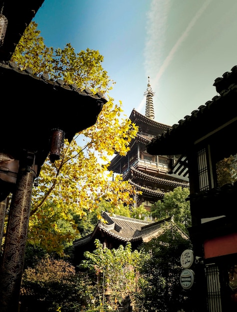 Traditionelle Tempel-Schrein-Architektur in Osaka mit Herbstlaub in Japan China Herbstlaub.