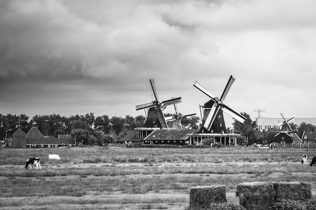 Traditionelle Windmühle auf dem Feld gegen den Himmel