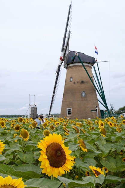 Foto traditionelle windmühle gegen den himmel