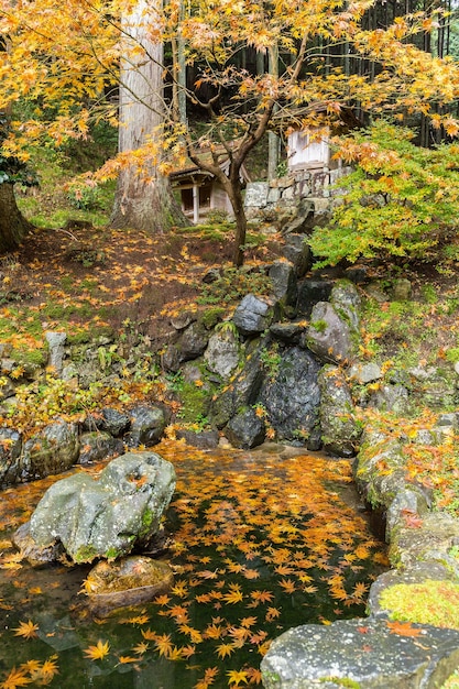 Traditioneller japanischer Garten im Herbst