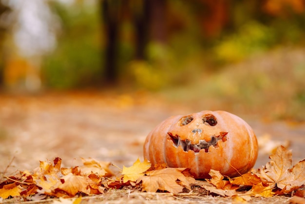 Traditioneller Kürbis als Kürbislaterne. Herbstlaub liegt auf der Halloween-Grußkarte im Park