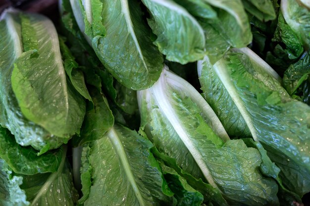 Traditioneller Markt für frisches Obst und Gemüse