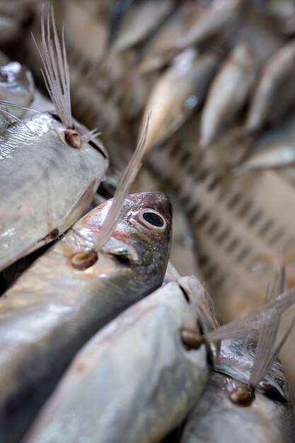 Traditioneller Markt für sortierte Fische