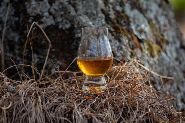 Traditioneller Single-Malt-Scotch-Whiskey im Glencairn-Glas in selektiver Konzentration