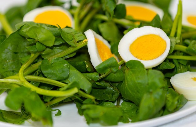 Traditioneller Wasserkressensalat mit Ei