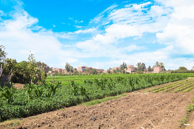 Traditionelles ägyptisches Dorf in der Nähe von Kairo, Ägypten