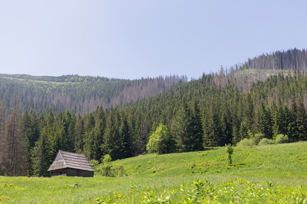 Traditionelles Berghaus auf der grünen Wiese