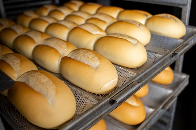 traditionelles brasilianisches Brot, bekannt als französisches Brot. Industrielle Herstellung von französischem Brot