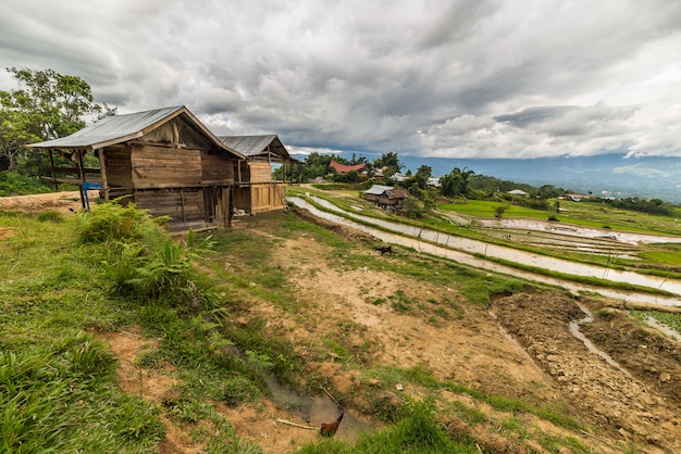 Traditionelles Dorf in Sulawesi Indonesien