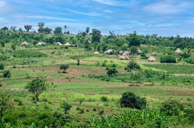 Traditionelles Dorfhaus in Uganda Afrika Uganda