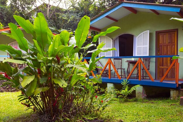 Traditionelles Haus Brasiliens. Palmen im Garten, Brasilien