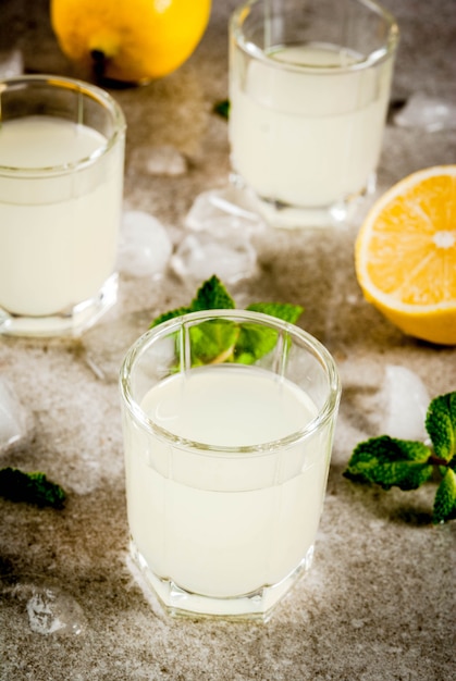 Traditionelles italienisches alkoholisches hausgemachtes Getränk, Zitronenlikör Limoncello mit frischen Zitrusfrüchten, Eis und Minze, auf grauem Steintisch,