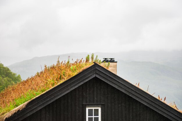Traditionelles norwegisches Holzhaus mit Grasdach. Sommerlandschaft, Norwegen