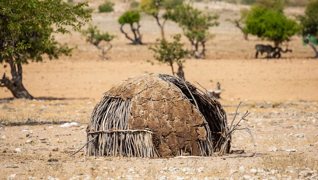 Traditionelles Zuhause des Himba-Stammes.