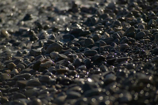 Träumen am Meer