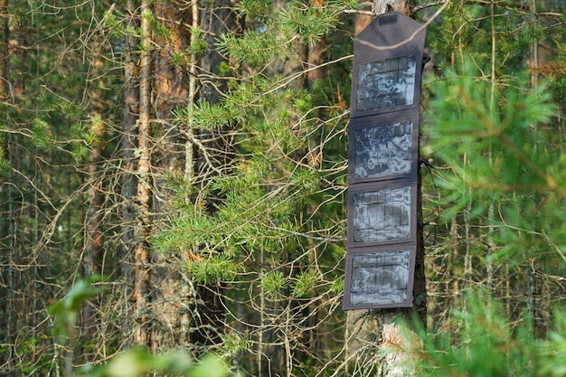 Tragbare Sonnenkollektoren in der Natur