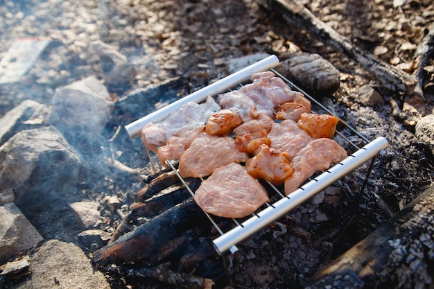 Tragbares Grillgitter in einem Wald