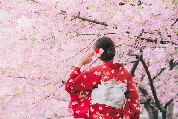 Tragender Kimono der Asiatin mit Kirschblüten, Kirschblüte in Japan.