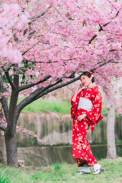 Tragender Kimono der Asiatin mit Kirschblüten, Kirschblüte in Japan.