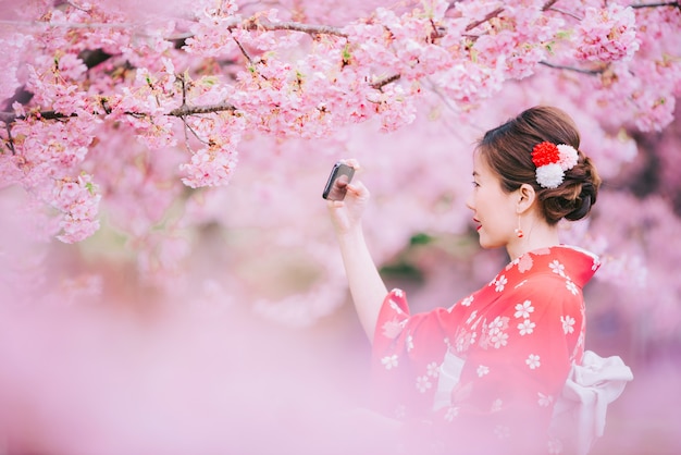 Tragender Kimono der Asiatin unter Verwendung des Smartphone mit Kirschblüten, Kirschblüte in Japan.