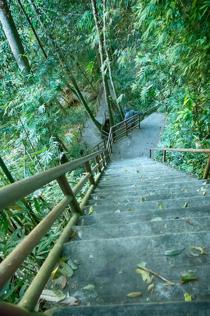 Trail-Brücke